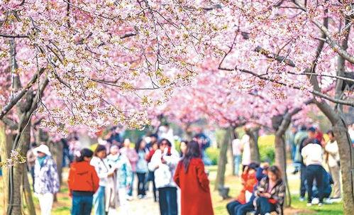 最美时光2024,探寻岁月静好的诗意画卷