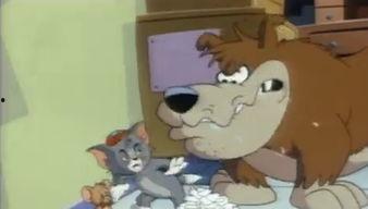 Q版 猫和老鼠 第三季,欢乐闹剧再升级，经典对决新篇章