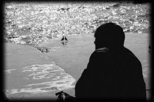 等待的死亡,生命边缘的沉思与感悟